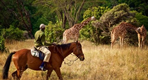 The Best Things to See and Do in Zambia - TRAVELINDEX - TOURISMAFRICA.org