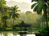 10-Top-Spas-Wellness-Resorts-Asia-BAREFOOTLUXE-200x150.jpg