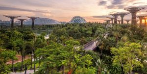 Five-Sustainability-Trends-to-Keep-on-the-Radar-in-2019-TRAVELINDEX-300x151.jpg