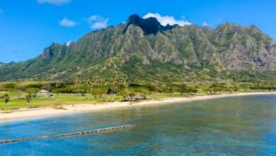 Hawaii-Tourism-Authority-TRAVELINDEX-500x264.jpg