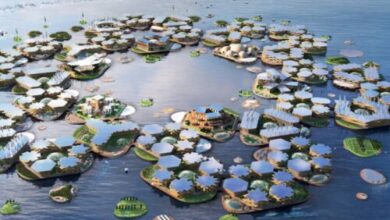 UN-Habitat-and-OCEANIX-Unveil-Worlds-First-Floating-City-TRAVELINDEX-500x294.jpg