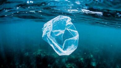 Viet-Nam-and-World-Economic-Forum-Launch-Partnership-to-Tackle-Plastic-Pollution-TRAVELINDEX-500x312.jpg