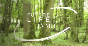 travel-image-LVMH-300x158.png